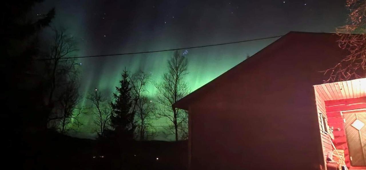 Cosy Cabin In North-Norway, Nearby Senja. Sorreisa Exterior foto
