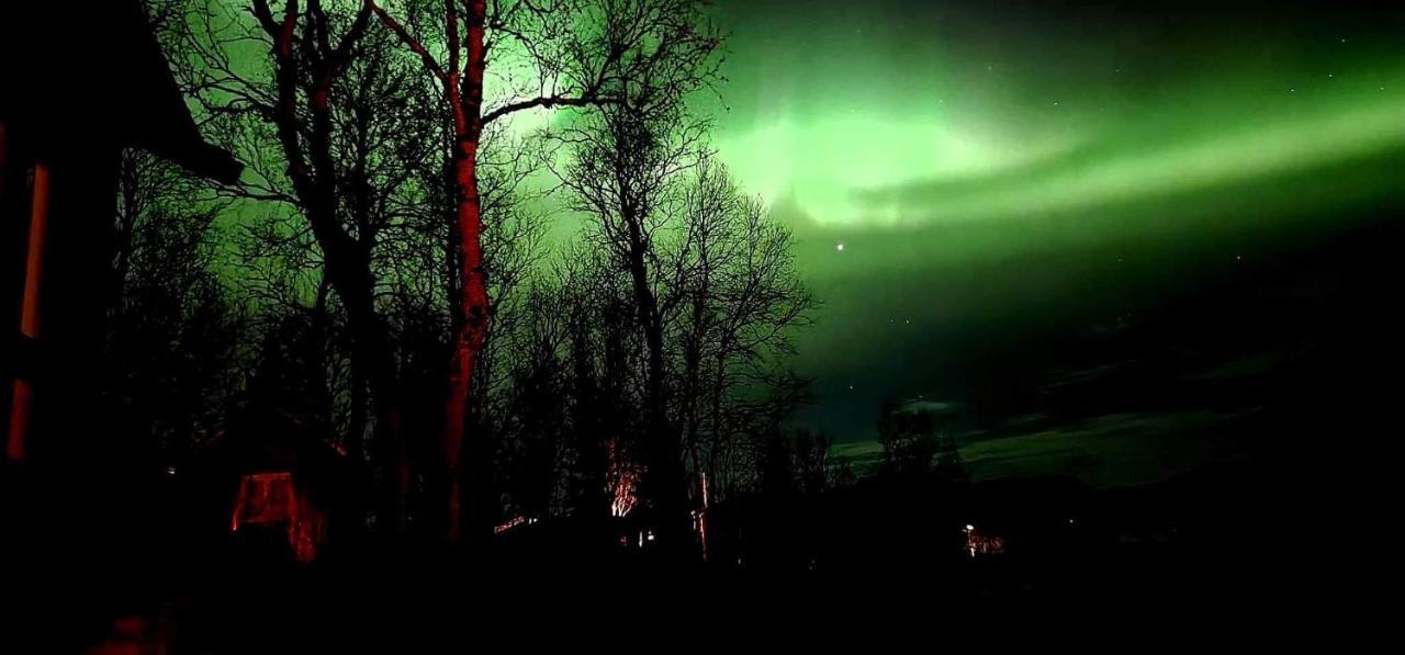 Cosy Cabin In North-Norway, Nearby Senja. Sorreisa Exterior foto
