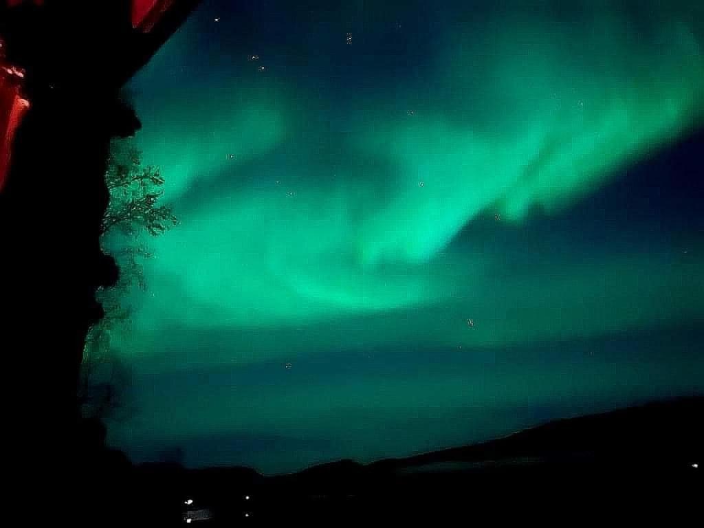 Cosy Cabin In North-Norway, Nearby Senja. Sorreisa Exterior foto
